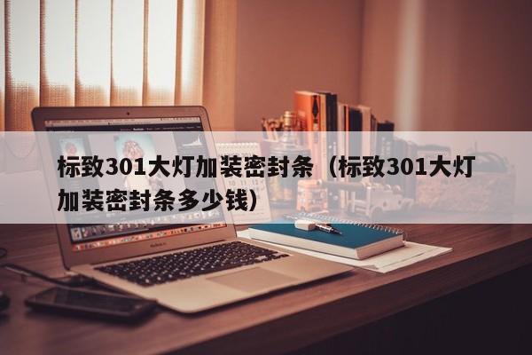 标致301大灯加装密封条（标致301大灯加装密封条多少钱）