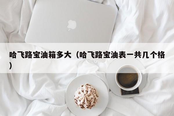 哈飞路宝油箱多大（哈飞路宝油表一共几个格）