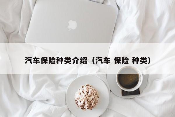 汽车保险种类介绍（汽车 保险 种类）